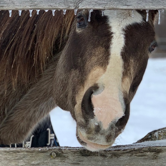 Meet your Posher, Melissa - Picture 1 of 1